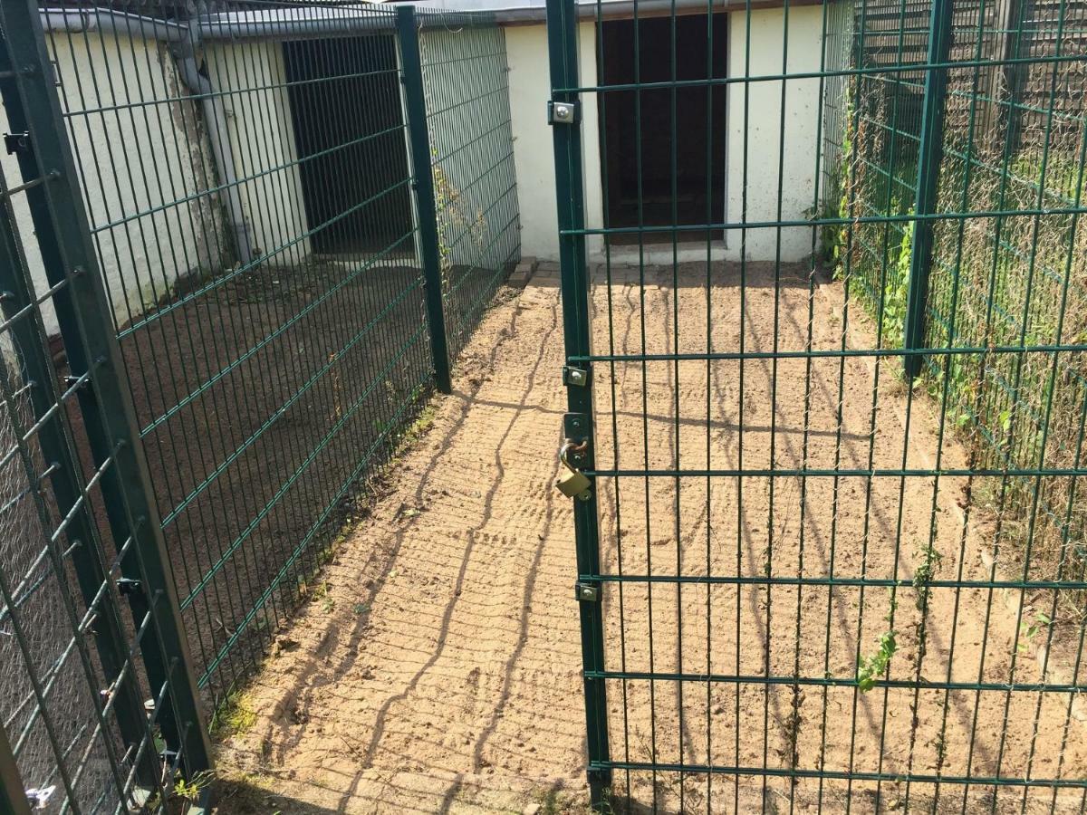 Ferienwohnung Neustrelitz Exteriör bild